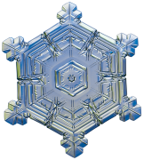 snowflake 9 listahan